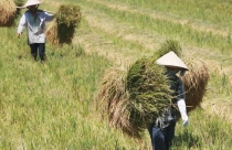 Nên trưng mua đất theo giá thị trường