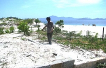 “Phù phép” đất đai ở Cam Ranh