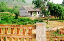 Hàng trăm hécta đất nông - lâm nghiệp biến thành đất ở