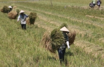 Sửa đổi luật Đất đai: Cần tăng tiền đền bù cho người dân