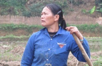 Tan hoang quê nghèo vì khoáng sản - Bài 2: Ruộng đồng kêu cứu