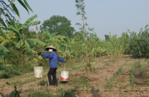 Thu hồi đất: Bèo bọt và vớ bẫm