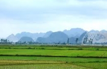 Vướng mắc chung quanh việc dồn điền, đổi thửa ở Vân Tảo