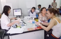 Cây cỏ đồng tiền có ý nghĩa gì trong phong thủy?