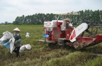 Tiếp tục khẳng định không chia lại ruộng đất