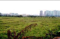 Luật Đất đai sửa đổi “mạnh tay” với dự án “treo”