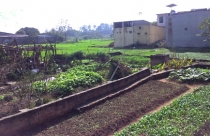 Sửa luật đất đai: Để người dân không bị thiệt thòi