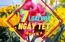 Gói tín dụng 30 nghìn tỷ ưu đãi lãi suất cho người thu nhập thấp mua nhà: 4 đối tượng và 4 điều kiện để được vay vốn