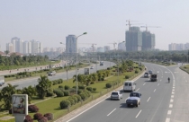Hoa mai ngày Tết và ý nghĩa đặc biệt