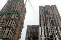 Ý nghĩa phong thủy của cây mộc hương