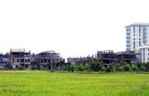 Thực hiện Nghị quyết 16/2012 về quy hoạch và quản lý quy hoạch - Phải cân đối lợi ích chung