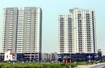 Cây nêu ngày Tết có ý nghĩa gì?