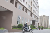 Đến 31/12, phải hoàn thành cấp sổ đỏ