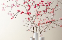 Trang trí đồ gốm sứ trong thiết kế nhà hiện đại