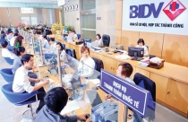 Gói 30.000 tỷ đồng: Sớm điều chỉnh điều kiện cho vay