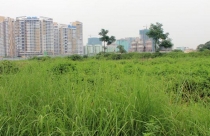 7 bí kíp thiết kế phong thủy cho căn hộ nhỏ