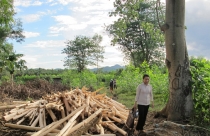 Thu hồi đất hương hỏa của dân để…phân lô, bán nền