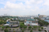 TP.HCM: Hoàn thành cấp sổ đỏ trước năm 2014