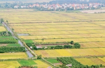Kỳ vọng từ Luật Đất đai sửa đổi