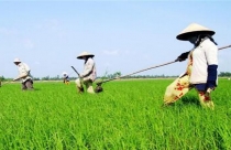 Định giá đất độc lập - điểm mới trong Luật đất đai sửa đổi
