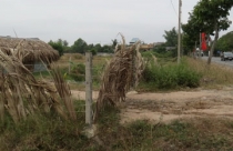 Vụ “Lao đao vì thông tin quy hoạch sai”: Xin lỗi chứ không đồng ý bồi thường