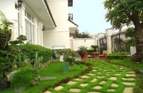 6 loại cỏ trồng sân vườn thông dụng hiện nay