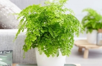 Bất động sản và tín dụng: Lửa đã gần rơm, mới... bén!