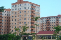 Bắt mạch thị trường