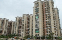 Nỗ lực ứng cứu thị trường BĐS