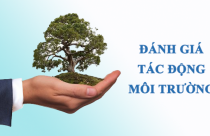 Thẩm định hồ sơ đánh giá tác động môi trường trực tuyến