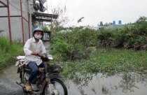 Quy hoạch treo - Vườn ruộng thành đất hoang