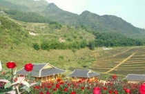Hủy sổ đỏ 3 khu đất vàng Sa Pa rộng hàng chục hecta đã cấp cho doanh nghiệp