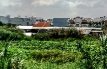 Quy hoạch treo ở Q.Bình Tân: Gần 17 năm không biết chủ đầu tư là ai