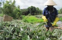 “Vẽ” nên những khu đô thị đẹp mà không có doanh nghiệp tham gia cũng bằng không