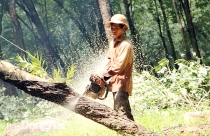 Cuối tháng 10 sẽ bàn giao mặt bằng để khởi công giai đoạn 1