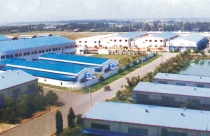 TP.HCM: Duyệt đồ án quy hoạch Khu công nghiệp Lê Minh Xuân 3