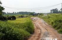Hà Nội: Loạt đất nông, lâm trường bị 'xà xẻo', biến tướng