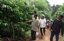 Bình Phước: Hàng chục ngàn hộ dân mong muốn điều gì?