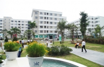 Sẽ ban hành 6 nghị định hướng dẫn thi hành Luật Xây dựng