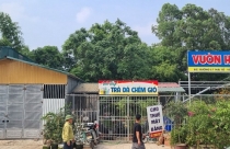 Vĩnh Yên (Vĩnh Phúc): Sự thật về việc chính quyền cưỡng chế nhà dân trong khi tòa án đang thụ lý vụ án hành chính