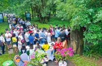Khách xếp hàng cả cây số để xem nhà mẫu và mua nhà tại Ecopark