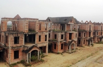 Nghệ An hủy bỏ 176 dự án “rùa bò” tổng diện tích 50.000ha
