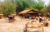TP.HCM: Cho phép HTV thuê đất xây phim trường 49,5 ha