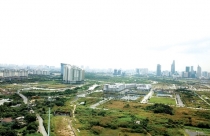 TP.HCM: Chặn “đầu nậu”, ách tách thửa