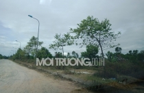 Sau 2 năm bị thu hồi, khu đất vàng của 'nữ đại gia' vẫn là bãi trống