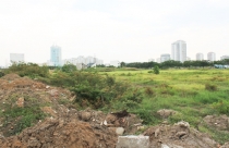 Đề xuất miễn thuế sử dụng đất nông nghiệp