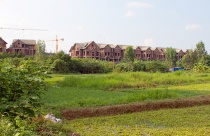 Hà Nội: Cấp xong sổ đỏ đất nông nghiệp trong năm, không xong kiểm điểm cán bộ lãnh đạo