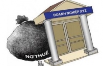 Hà Nội công bố danh sách 13 đơn vị nợ hơn 35 tỷ đồng tiền thuê đất