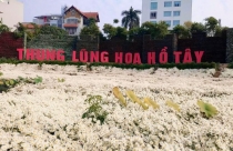 Sai phạm đất đai tràn lan ở 'Thung lũng hoa Hồ Tây'