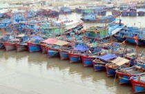 Phê duyệt nhiệm vụ quy hoạch xây dựng tỷ lệ 1/2000 Khu chức năng đặc thù Khu dân cư, dịch vụ, thương mại dọc bờ biển huyện Hoài Nhơn